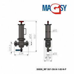 Flow-type magnetic separator MF 50/1-S6-N-1-80-N-P